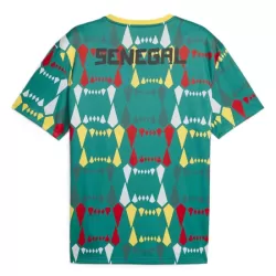 Günstige Senegal Herrentrikot Heim 2023/24 Kurzarm