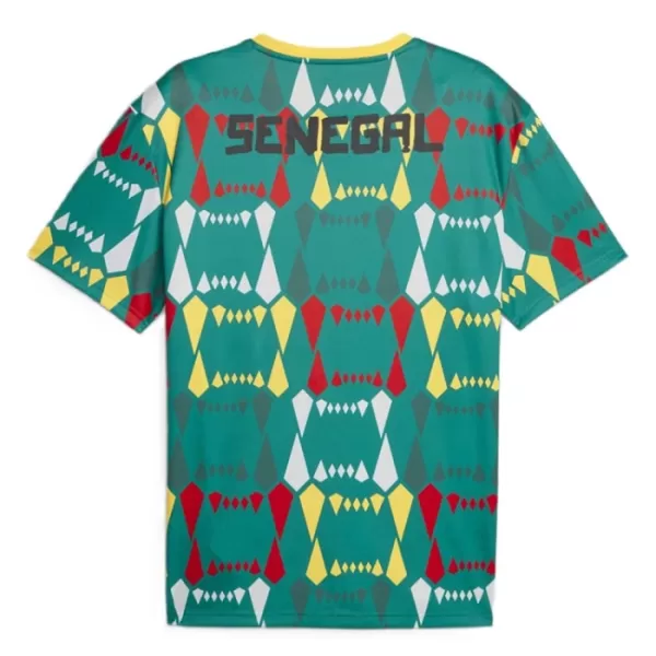 Günstige Senegal Herrentrikot Heim 2023/24 Kurzarm