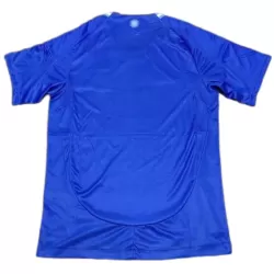 Günstige Argentinien Herrentrikot Auswärts 2024 Kurzarm