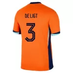Günstige Niederlande De Ligt 3 Herrentrikot Heim EURO 2024 Kurzarm