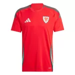 Günstige Wales Herrentrikot Heim 2024 Kurzarm