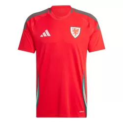 Günstige Wales Herrentrikot Heim 2024 Kurzarm Günstige Wales Herrentrikot Heim 2024 Kurzarm
