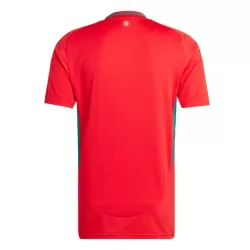 Günstige Wales Herrentrikot Heim 2024 Kurzarm