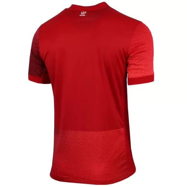 Günstige Polen Herrentrikot Auswärts EURO 2024 Kurzarm
