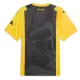 Günstige Borussia Dortmund Herrentrikot Jubiläum 2023/24 Kurzarm
