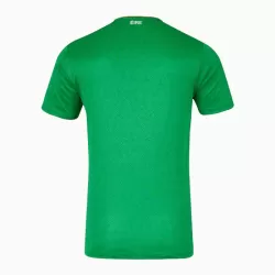 Günstige Irland Herrentrikot Heim 2024/25 Kurzarm