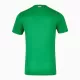 Günstige Irland Herrentrikot Heim 2024/25 Kurzarm