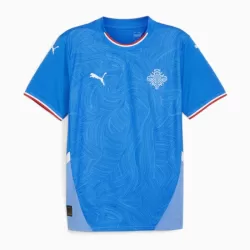 Günstige Island Herrentrikot Heim 2024 Kurzarm