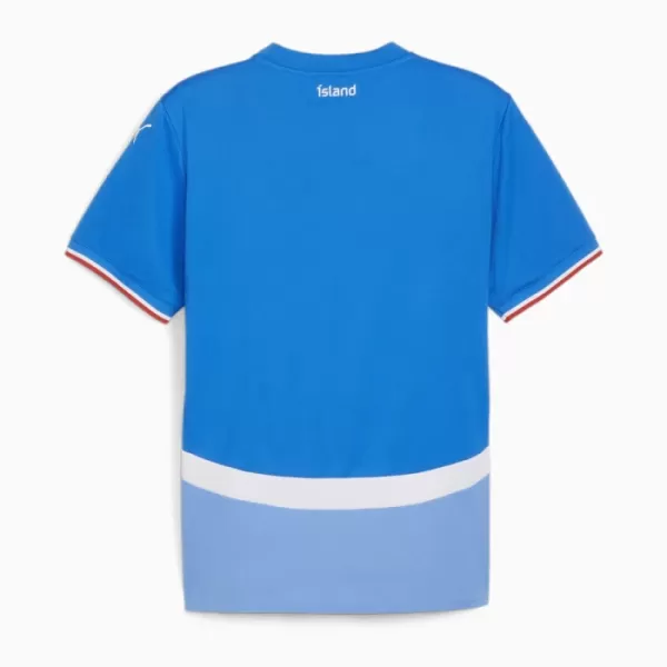 Günstige Island Herrentrikot Heim 2024 Kurzarm