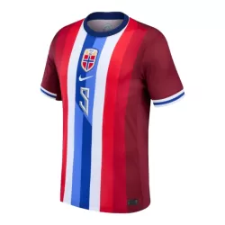Günstige Norwegen Haaland 9 Herrentrikot Heim 2024 Kurzarm