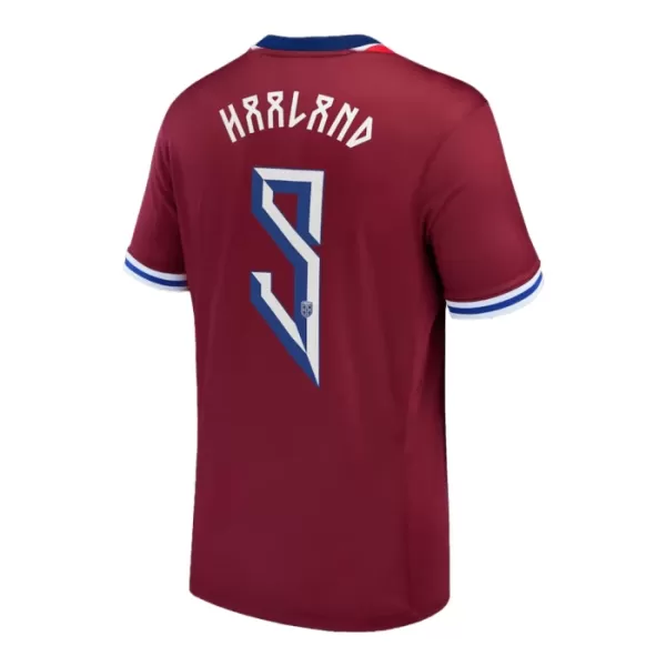 Günstige Norwegen Haaland 9 Herrentrikot Heim 2024 Kurzarm