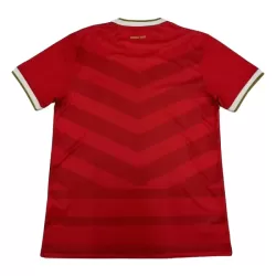 Günstige Panama Herrentrikot Heim 2024 Kurzarm