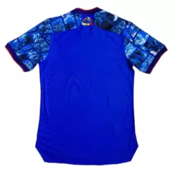 Günstige Japan x DragonBall Herrentrikot 2024 Kurzarm - Speziell