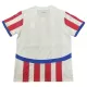 Günstige Paraguay Herrentrikot Heim 2024 Kurzarm