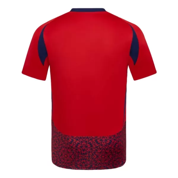 Günstige Costa Rica Herrentrikot Heim 2024 Kurzarm