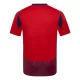 Günstige Costa Rica Herrentrikot Heim 2024 Kurzarm