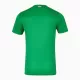 Günstige Irland Kindertrikot Heim 2024/25 Kurzarm