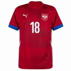 Günstige Serbien Vlahovic 18 Herrentrikot Heim EURO 2024 Kurzarm