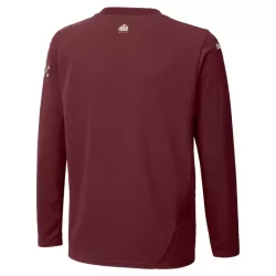 Günstige Manchester City Herrentrikot Ausweich 2024/25 Langarm