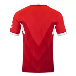 Günstige VfB Stuttgart Herrentrikot Auswärts 2024/25 Kurzarm