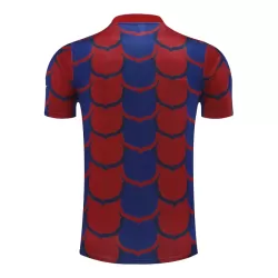 Günstige Barcelona Pre-Match Herrentrikot 2024/25 Kurzarm