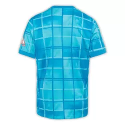 Günstige Hertha BSC Herrentrikot Ausweich 2024/25 Kurzarm