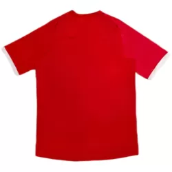 Günstige England 2010 Herrentrikot Auswärts Retro Kurzarm