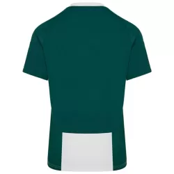 Günstige Panathinaikos FC Herrentrikot Heim 2024/25 Kurzarm