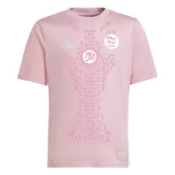 Günstige Nigeria Herrentrikot 2024 Kurzarm Rosa - Speziell Günstige Nigeria Herrentrikot 2024 Kurzarm Rosa - Speziell