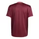 Günstige Bayern München Adidas Terrace Icon Herrentrikot 2024/25 Kurzarm
