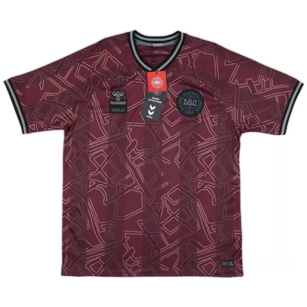 Günstige Dänemark Herrentrikot 2024/25 Kurzarm - Speziell Günstige Dänemark Herrentrikot 2024/25 Kurzarm - Speziell
