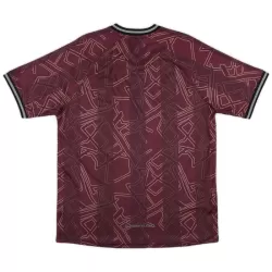 Günstige Dänemark Herrentrikot 2024/25 Kurzarm - Speziell