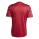 Günstige FC Bayern München Herrentrikot Jubiläum 2024/25 Kurzarm