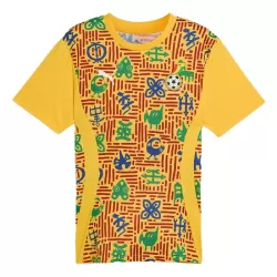 Günstige Ghana Pre-Match Herrentrikot 2024/25 Kurzarm