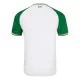 Günstige Irland Herrentrikot Ausweich 2024/25 Kurzarm