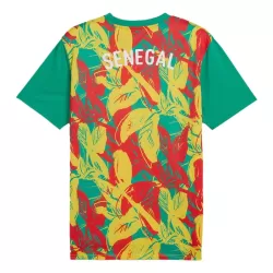 Günstige Senegal Pre-Match Herrentrikot 2024/25 Kurzarm