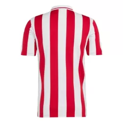 Günstige Olympiakos 100th Herrentrikot Jubiläum 2024/25 Kurzarm
