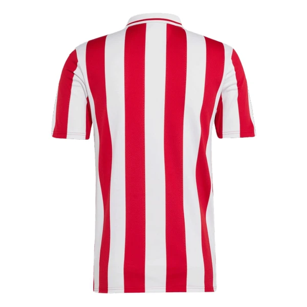 Günstige Olympiakos 100th Herrentrikot Jubiläum 2024/25 Kurzarm