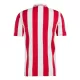 Günstige Olympiakos 100th Herrentrikot Jubiläum 2024/25 Kurzarm