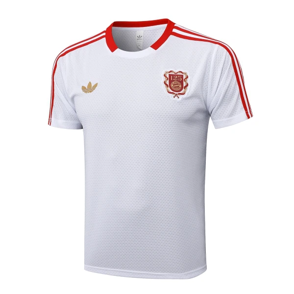Günstige FC Bayern München Herrentrikot Jubiläum 2024/25 Kurzarm