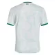 Günstige Irland Herrentrikot Auswärts 2025/26 Kurzarm