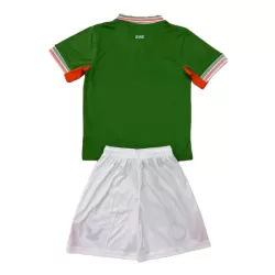 Günstige Irland Kindertrikot Heim 2025/26 Kurzarm