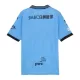 Günstige Kawasaki Frontale Herrentrikot Heim 2025/26 Kurzarm