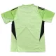 Günstige Newcastle United Torwart Herrentrikot 2025/26 Kurzarm