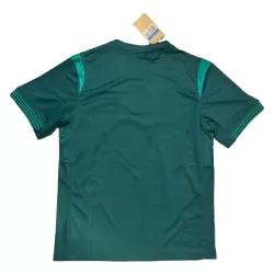 Günstige Nigeria Herrentrikot Heim 2025/26 Kurzarm