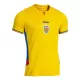 Günstige Rumänien Herrentrikot Heim 2025 Kurzarm Günstige Rumänien Herrentrikot Heim 2025 Kurzarm