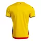Günstige Rumänien Herrentrikot Heim 2025 Kurzarm