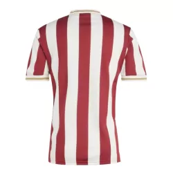 Günstige FC Nurnberg Herrentrikot Jubiläum 2024/25 Kurzarm