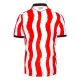 Günstige Stoke City Herrentrikot Heim 2025/26 Kurzarm