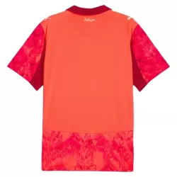 Günstige Palmeiras KidSuper Torwart Herrentrikot 2025/26 Kurzarm